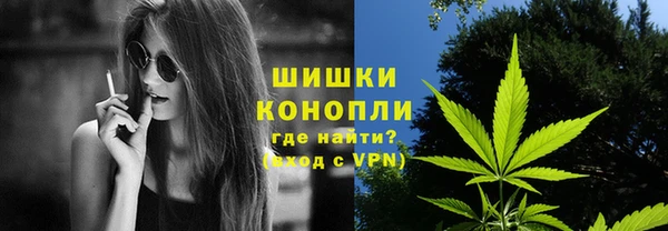 дживик Богородицк