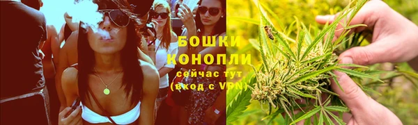дживик Богородицк