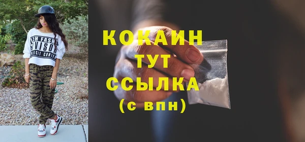 мдпв Богородск