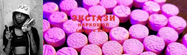 мдпв Богородск