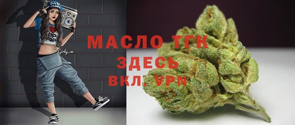 дживик Богородицк