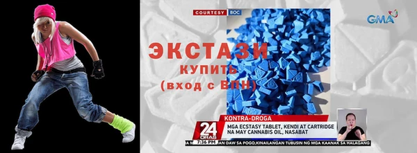 дживик Богородицк