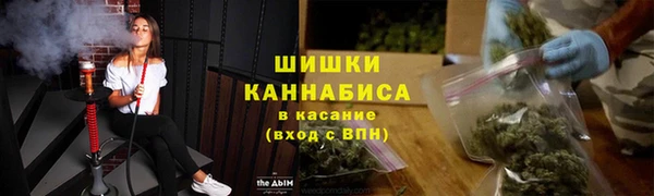 дживик Богородицк